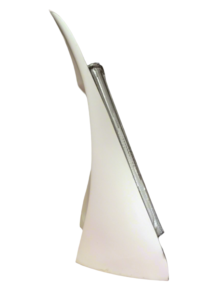 Insane Asylum Chin Spoiler