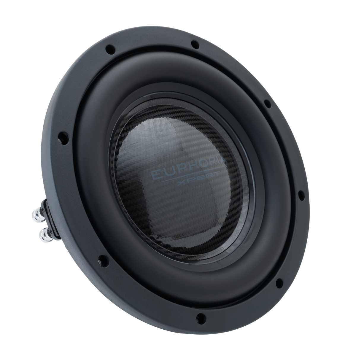 Xpert EXFW10NCF : 10 in. NEO Carbon Fiber Shallow Woofer