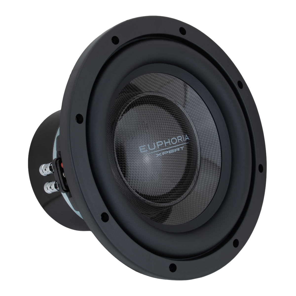 Xpert EXW10NCF : 10" NEO Carbon Fiber Woofer