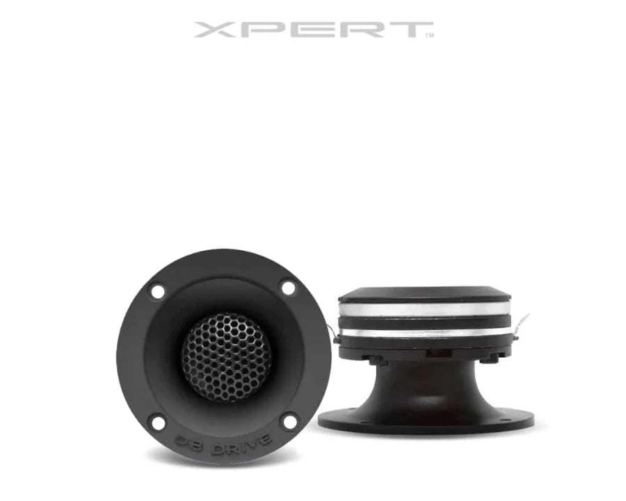 Insane Asylum Devito Rider Bags Xpert Audio Bundle