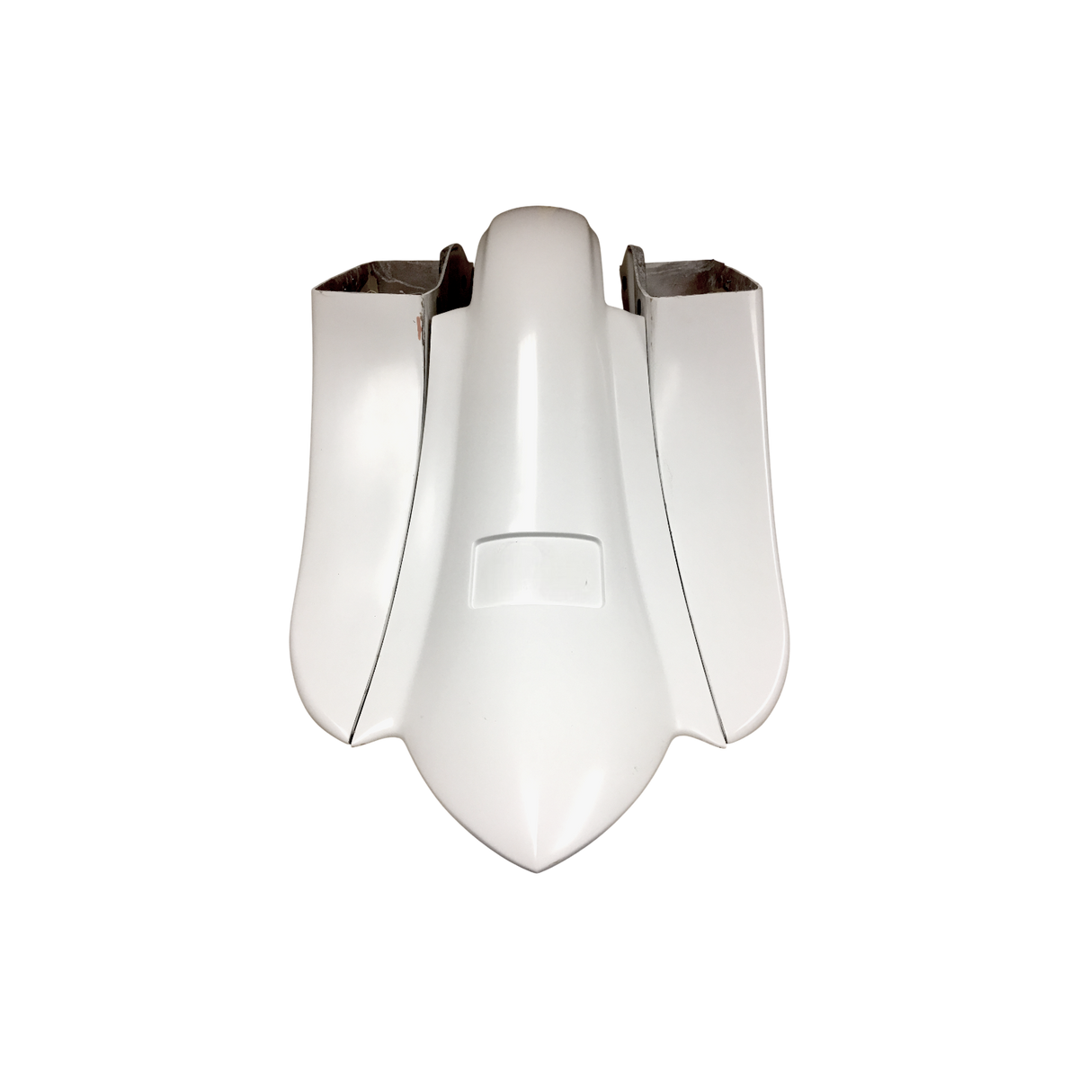 Insane Asylum Rehab Rear Fender