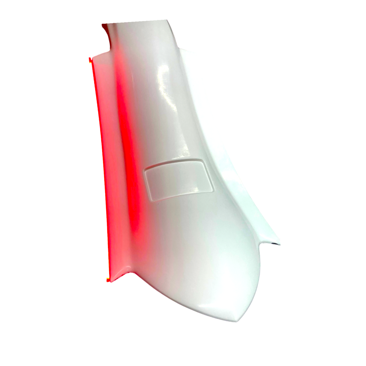 Insane Asylum Rehab Rear Fender