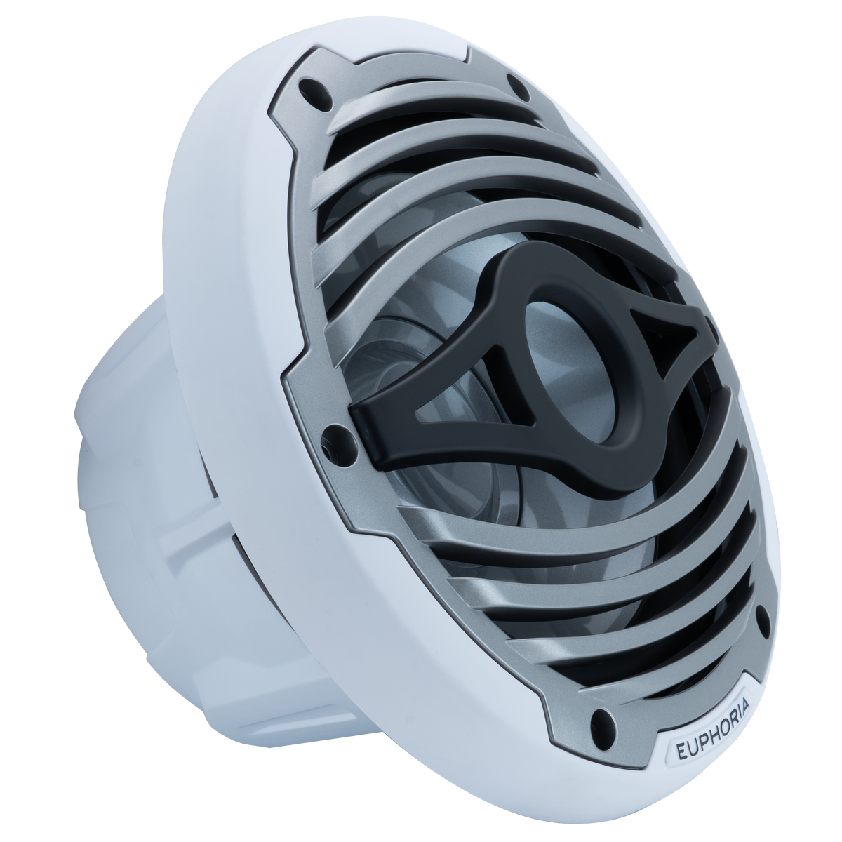 Euphoria ERMW10.2 : 10" Reference Marine Subwoofer with RGB Accent Lighting (2-OHM)