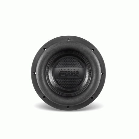 Euphoria EWXB8D2 : 8" Dual 2-Ohm Subwoofer Black Out Edition