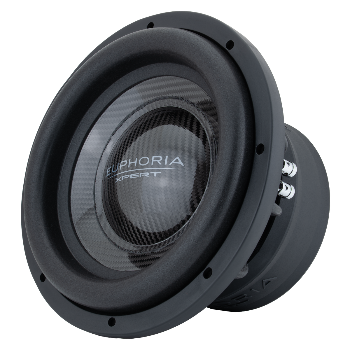 Xpert EXW10CF : 10 in. Dual 2-Ohm Carbon Fiber Subwoofer With Ferrite Magnet