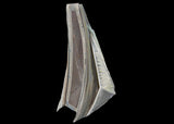 Powerhouse Maelstrom Chin Spoiler