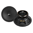 DB Drive WDXPRO8/8NC.8S : 8" Wide Freq Range-ProAudio MidBass 1.5in TIL VC papercone w/cloth surround